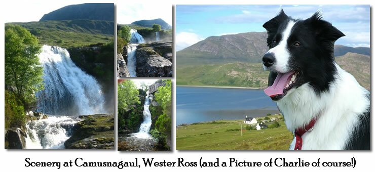 The Scenery overlooking Little Loch Broom and the nearby waterfalls and a picture of Charlie the sheepdog
