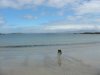 Sandy beaches in the Scottish Highlands